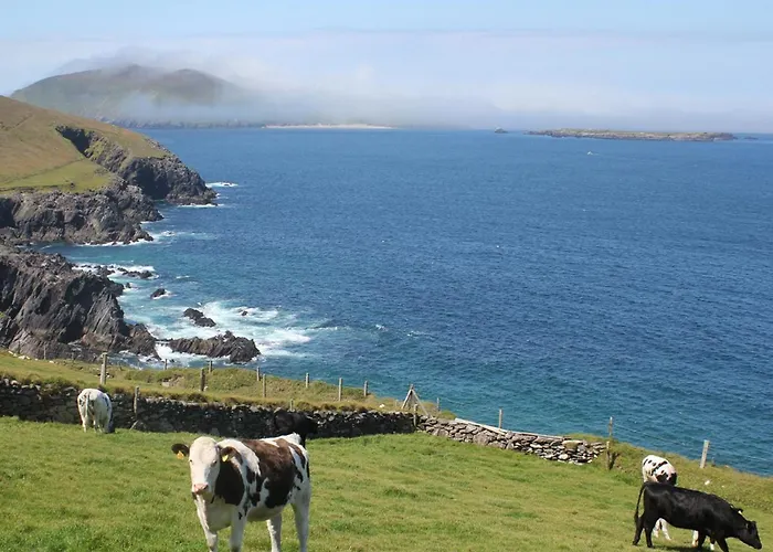 Cois Chnoic Holiday Home Dingle By Trident Holiday Homes